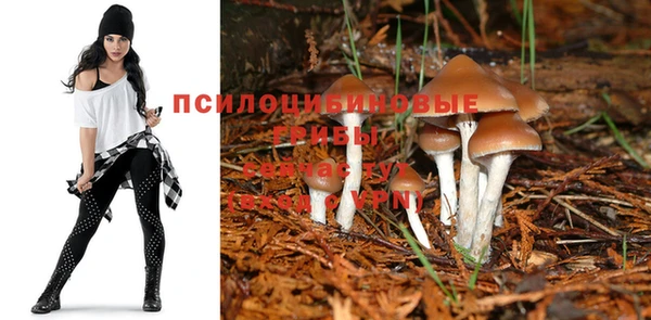 мескалин Аркадак