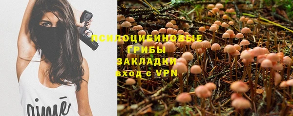 мяу мяу мука Армянск