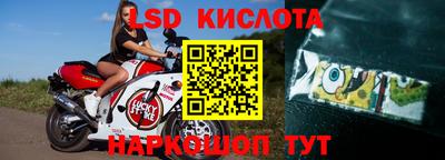 прущие грибы Беслан