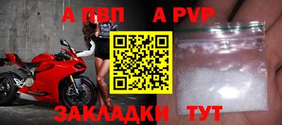 прущие грибы Беслан