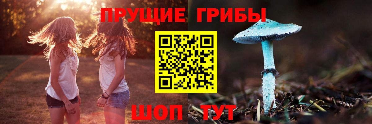Всеволожск  Галлюциногенные грибы ЛСД  продажа наркотиков  Вход с VPN 