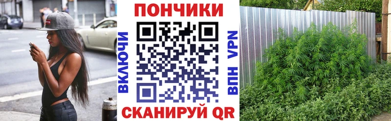 Канабис ГИДРОПОН  даркнет официальный сайт  Всеволожск 